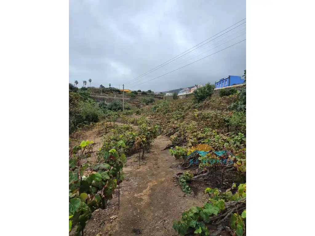 Houses for sale in La Orotava
