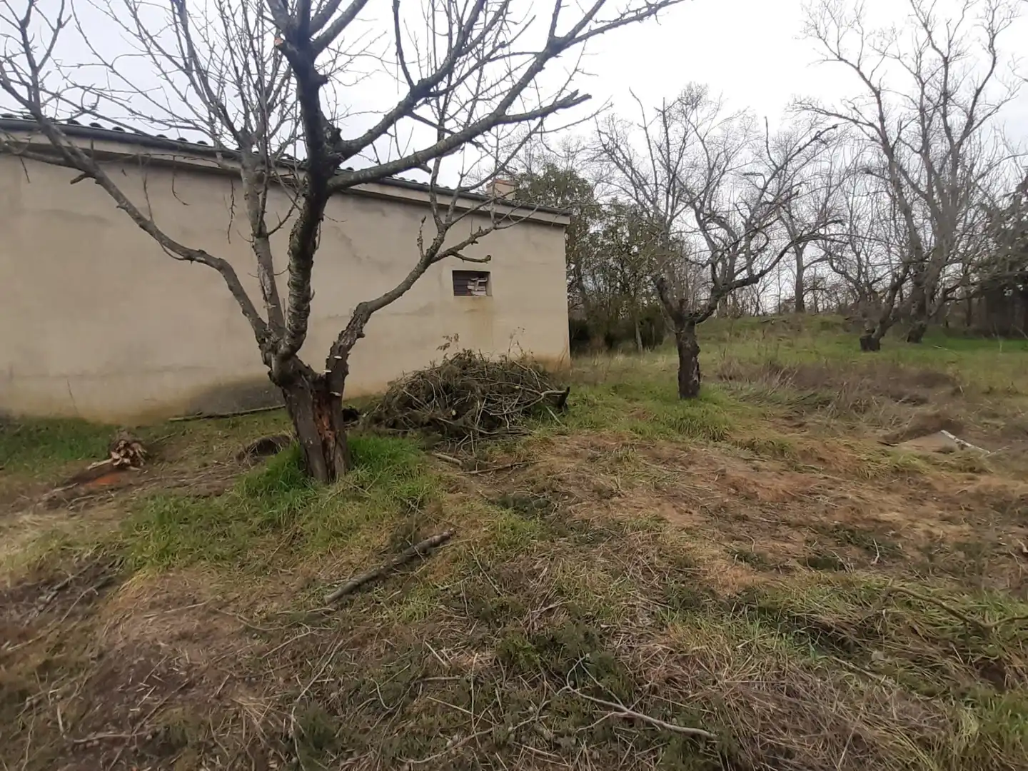 Terreni e lotti in vendita a Fresno de la Ribera, imagen 3