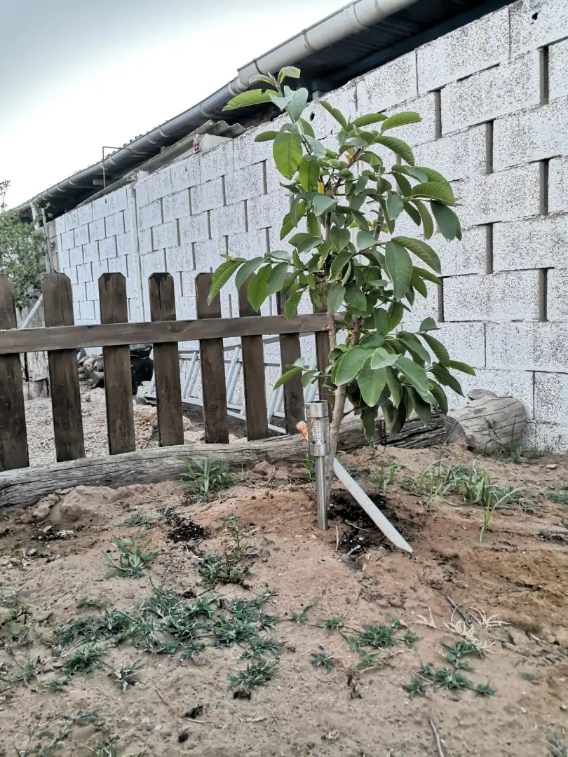 Jardí de Casa o xalet en venda en Cullera amb Aire condicionat, Jardí privat i Terrassa