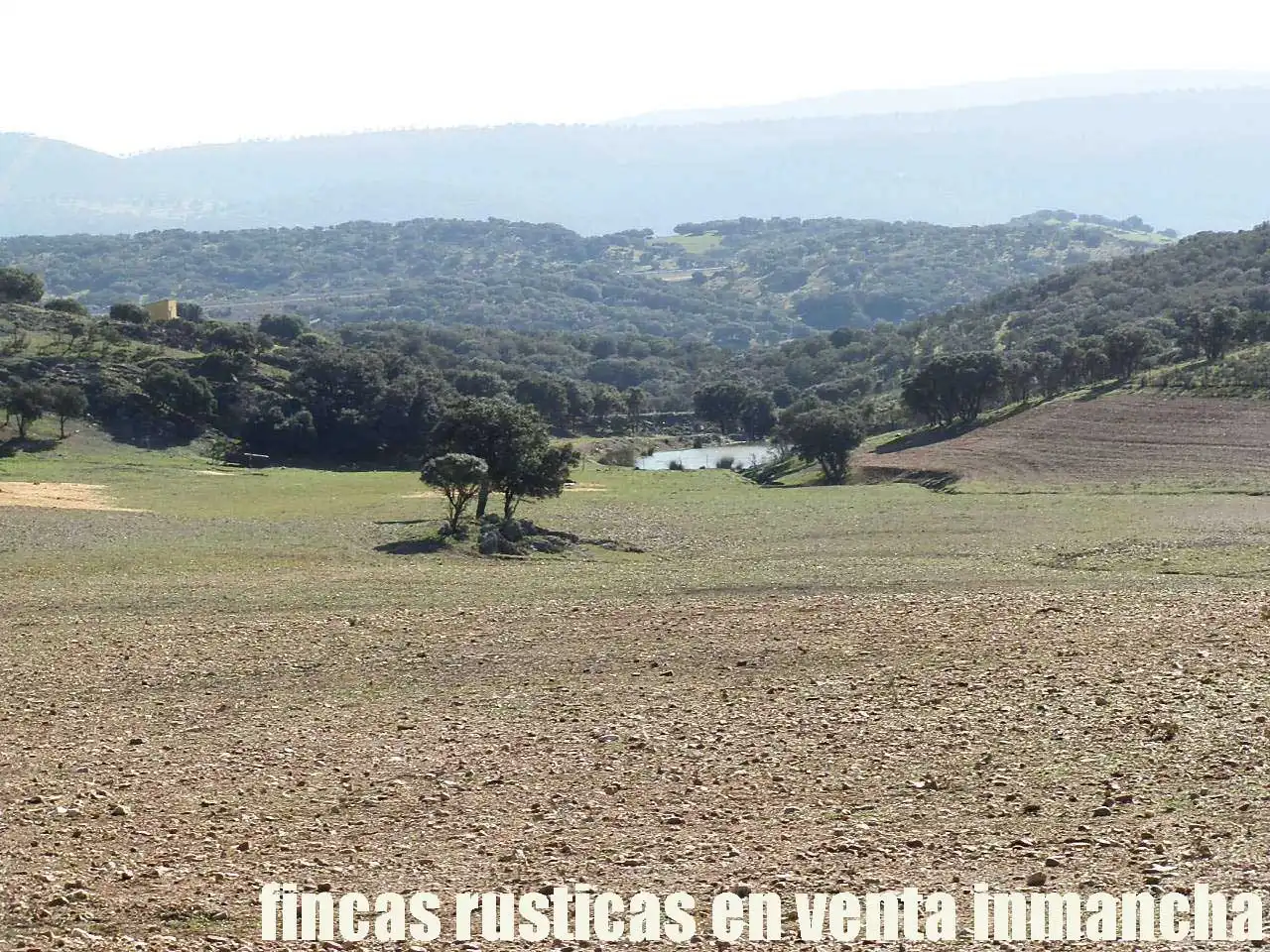 Terreno en venta en Almuradiel