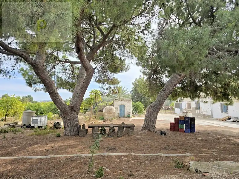 Casa o xalet en venda en Elche / Elx amb Jardí privat, Terrassa i Traster