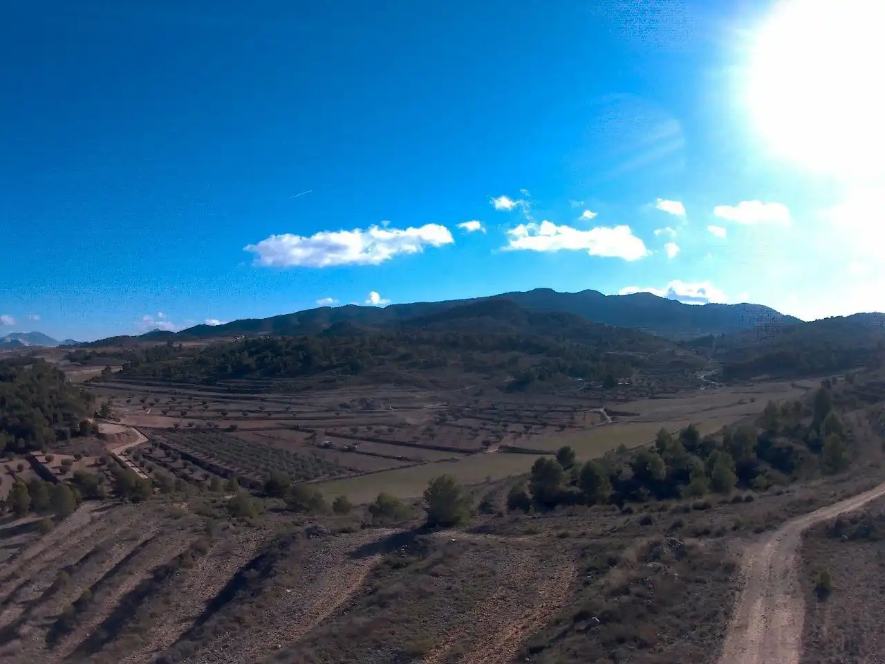 Rustikales Grundstück zum Verkauf in Jumilla, imagen 4