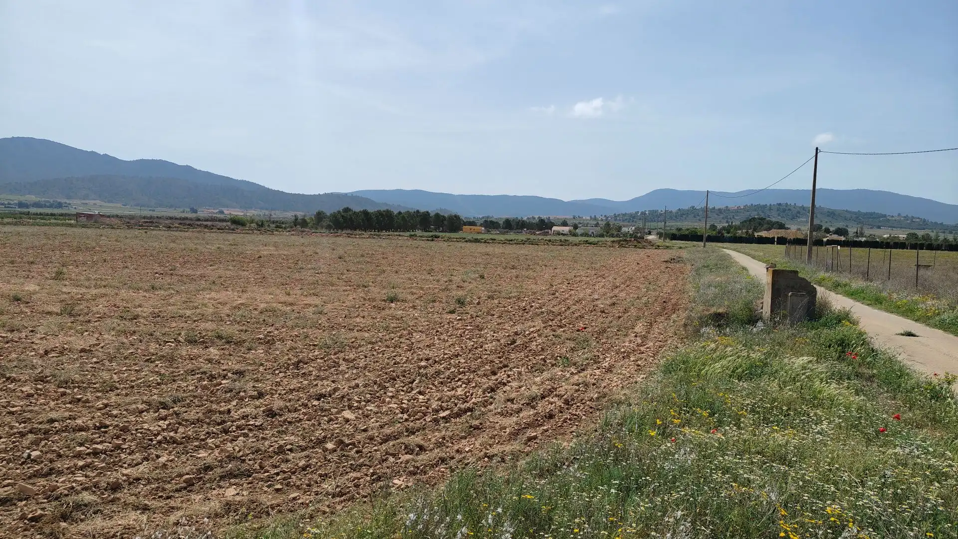 Terreni e lotti in vendita a Yecla, imagen 12