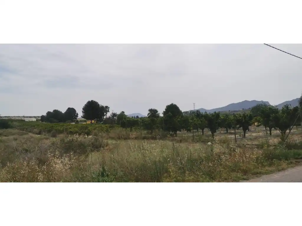 Chalet con piscina en venta en Partida Matanza La, imagen 12