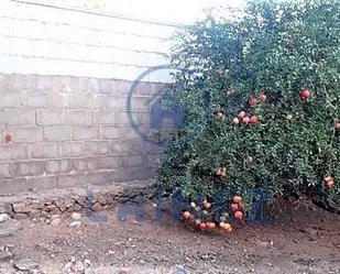 Casa o xalet en venda en Fuente Obejuna amb Jardí privat i Traster