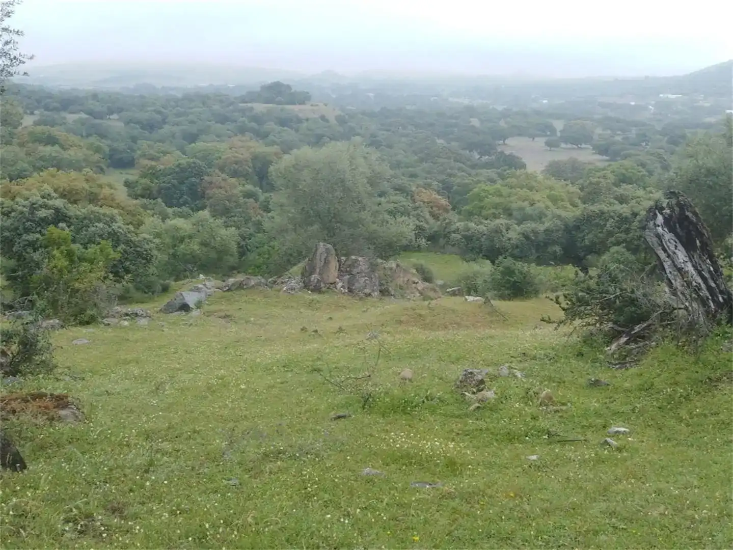 Land for sale in Burguillos del Cerro