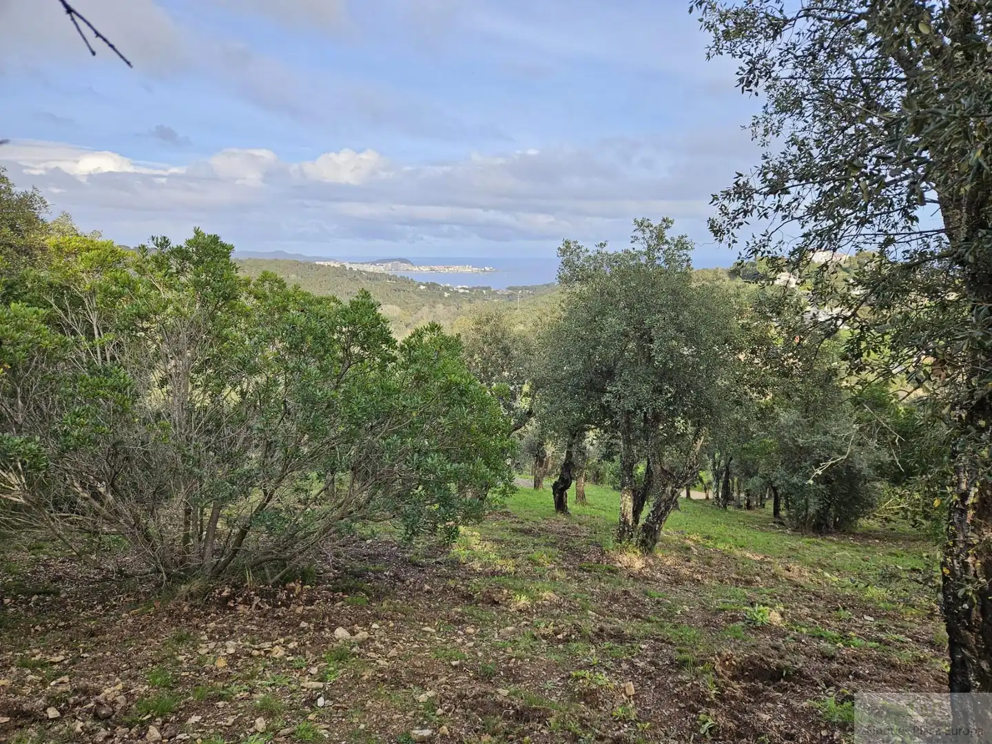 Terreno residenziale in vendita a Platja d'Aro, imagen 2