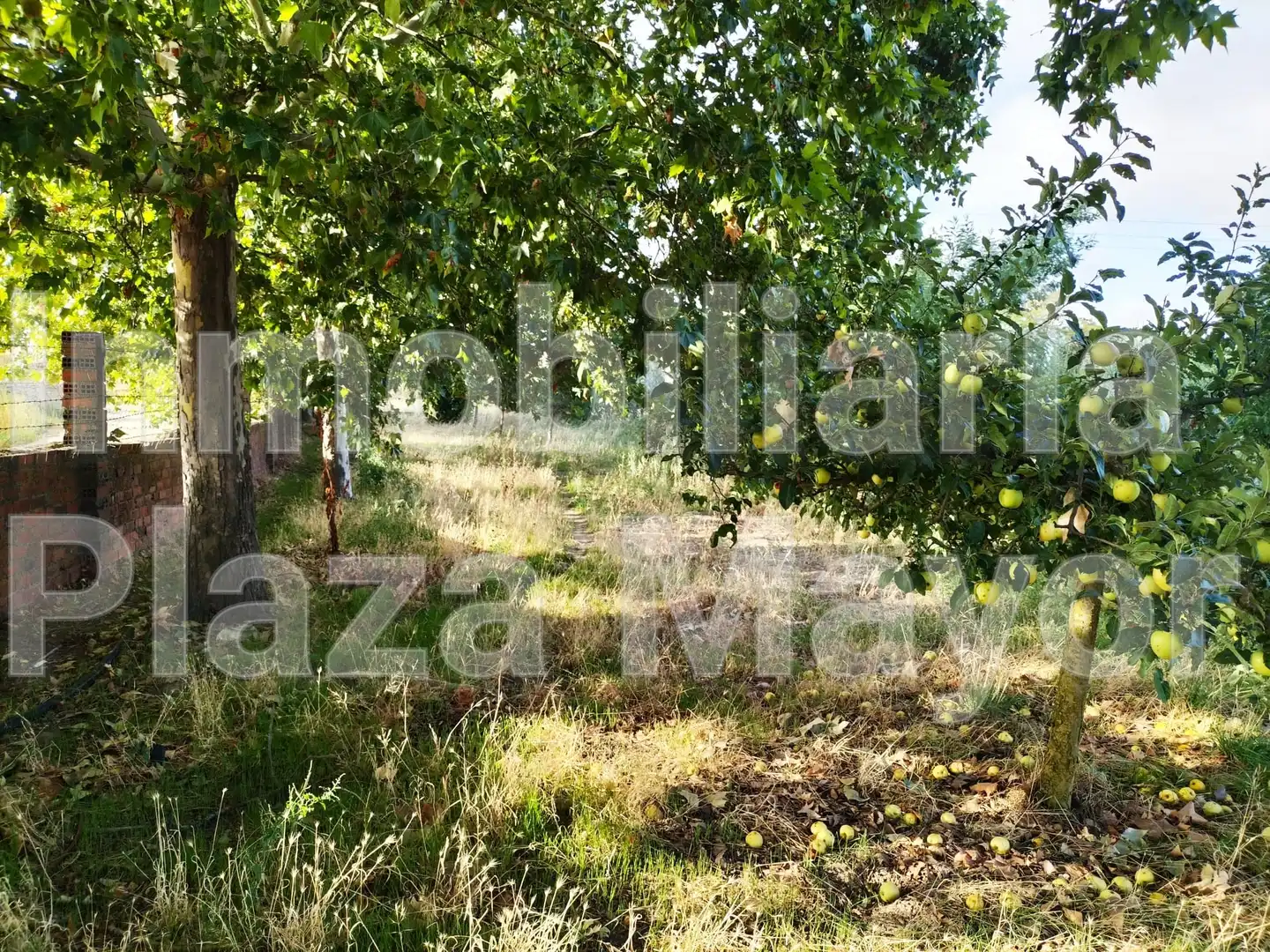 Finca rústica en venta en Villamayor