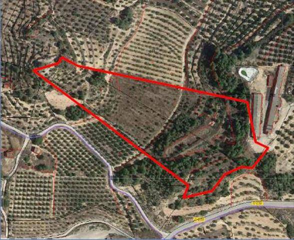 Terreno en Venta en Bovera