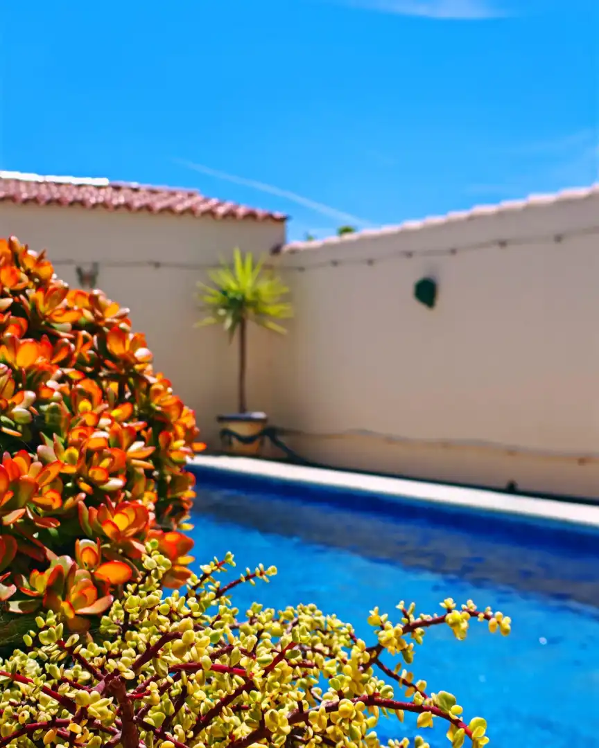 Piscina de Casa o chalet en venta en Las Lagunas - Campano