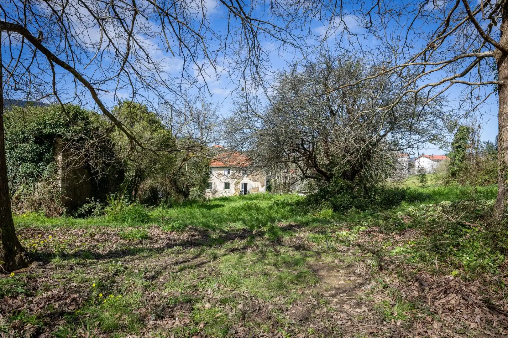Country homes for sale in Pontedeume