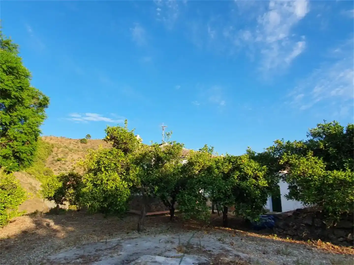 Vista exterior de Finca rústica en venda en Alozaina