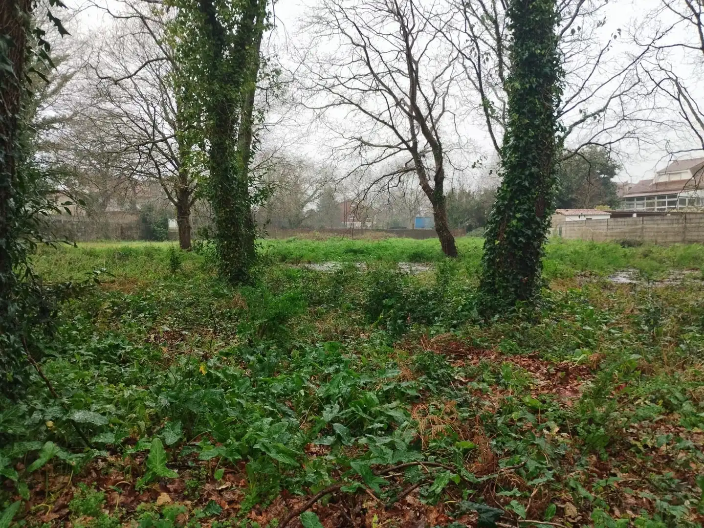 Terreno en venta en Tomiño