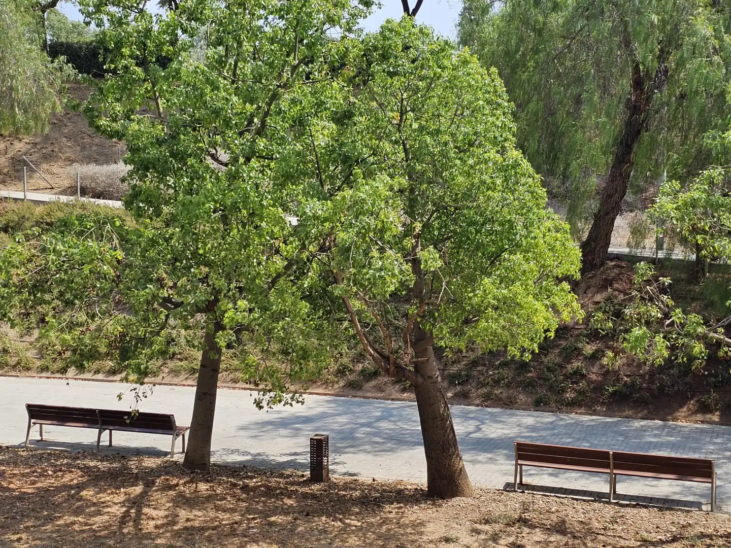 Vista exterior de Pis en venda en Sant Andreu de la Barca amb Calefacció i Traster