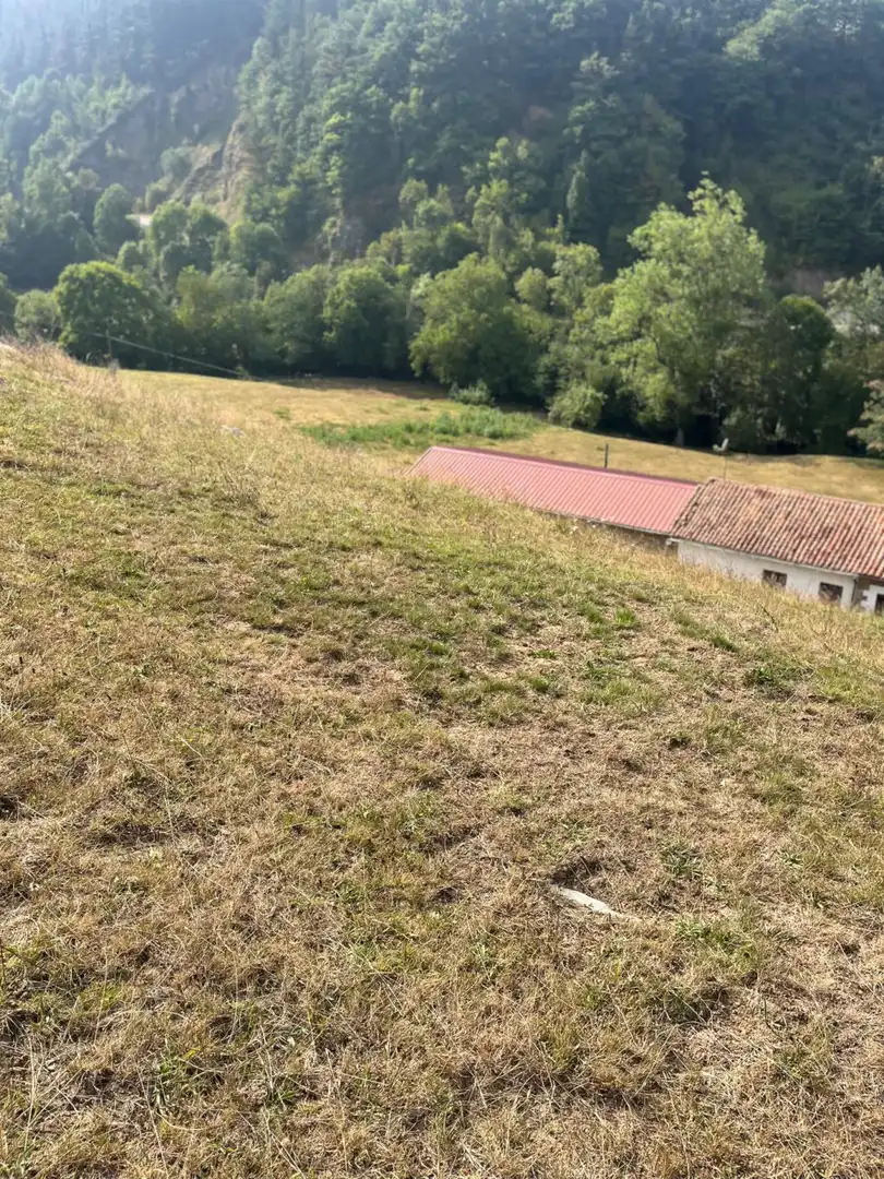 Wohnbaugrundstück zum Verkauf in San Miguel de Luena - SAN MIGUEL DE LUENA, imagen 13