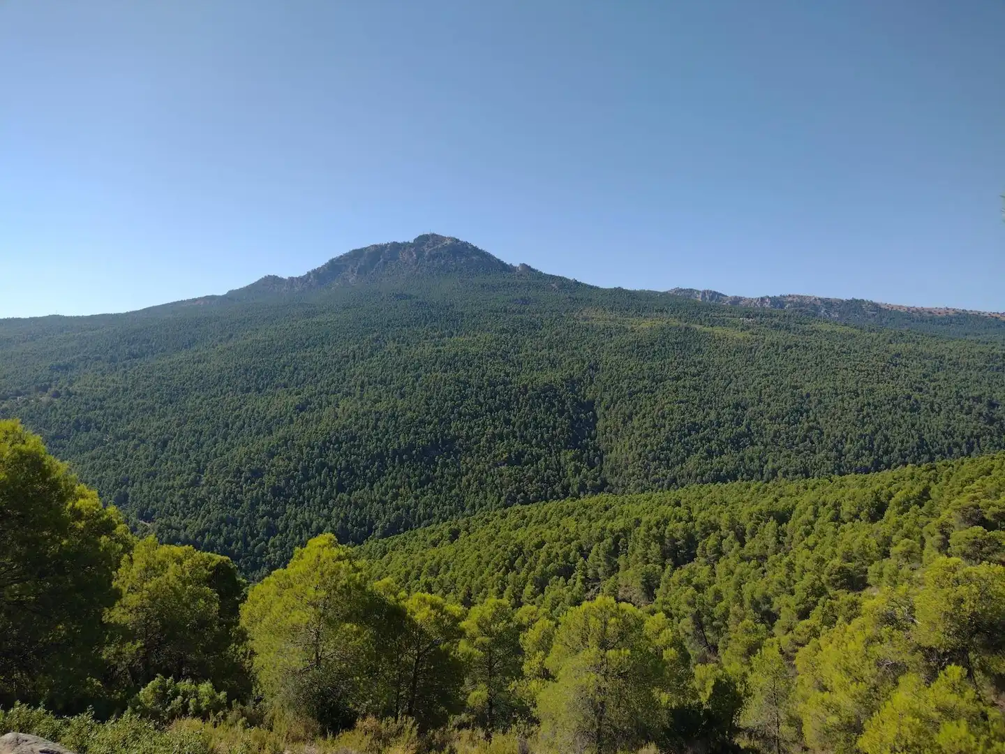 Terreno residencial en venta en Moratalla
