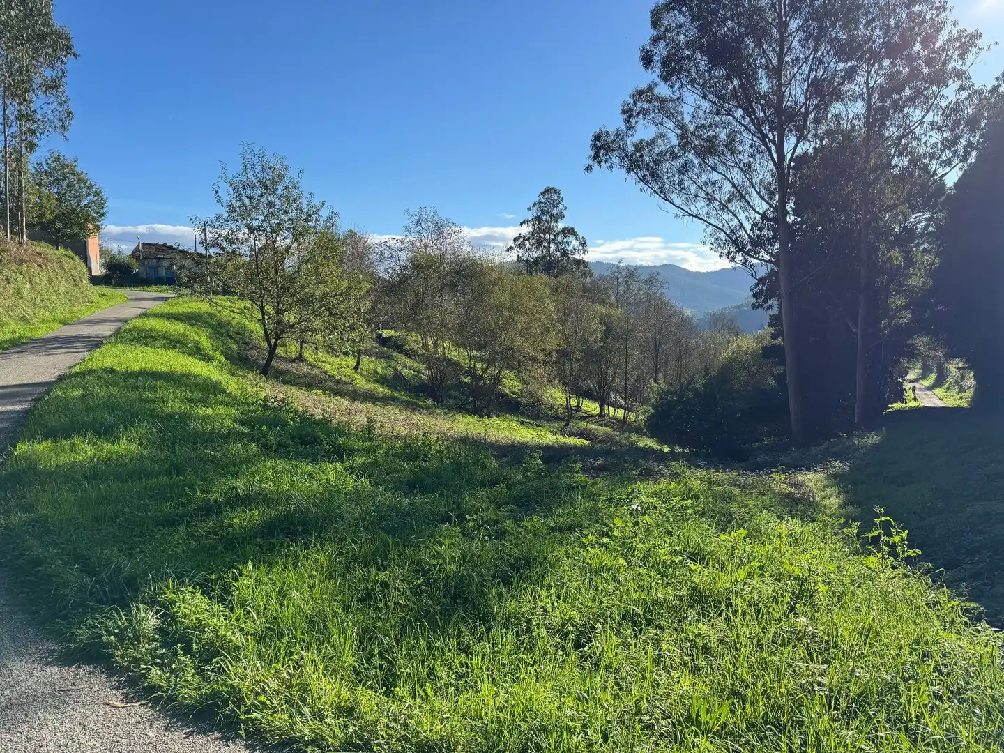 Casa o xalet en venda en Trabada amb Traster