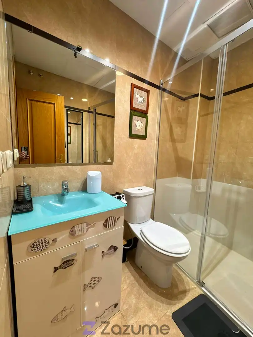 Bany de Apartament de lloguer en Granada amb Aire condicionat, Calefacció i Parquet