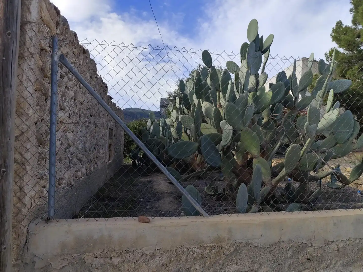 Terrenys i solars en venda a Alhama de Murcia ciudad, imagen 5