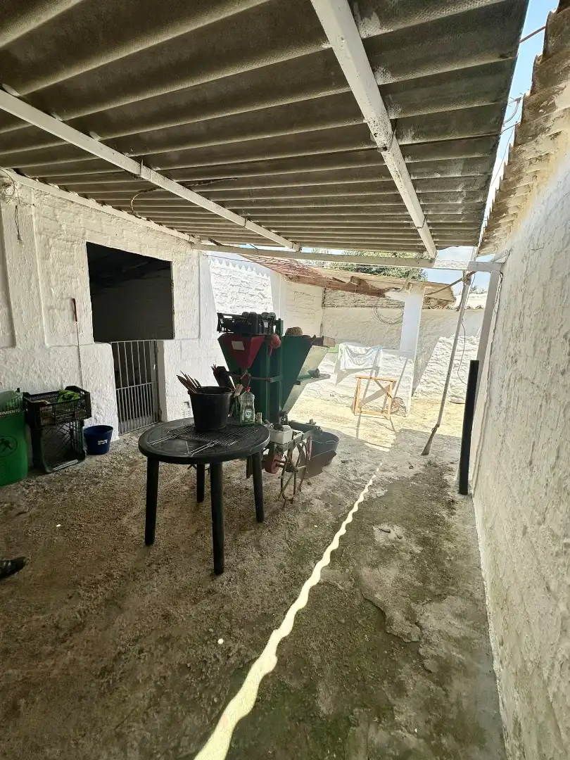 Garden of Country homes for sale in Benamocarra  with Private garden, Storage room and Swimming Pool