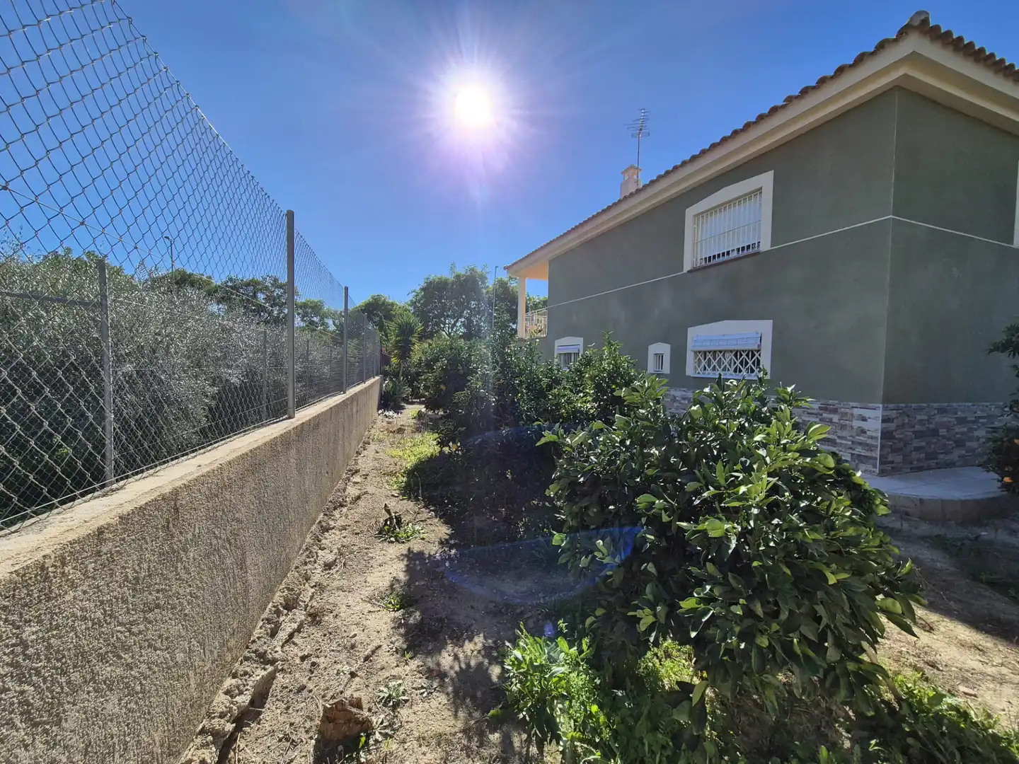 Jardí de Casa o xalet en venda en Albudeite amb Jardí privat, Terrassa i Moblat
