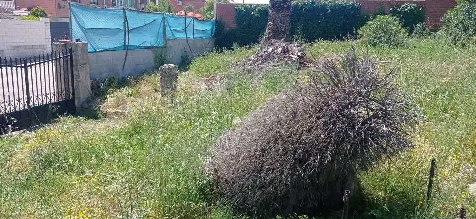 Terreni e lotti in vendita a Escalona, imagen 14
