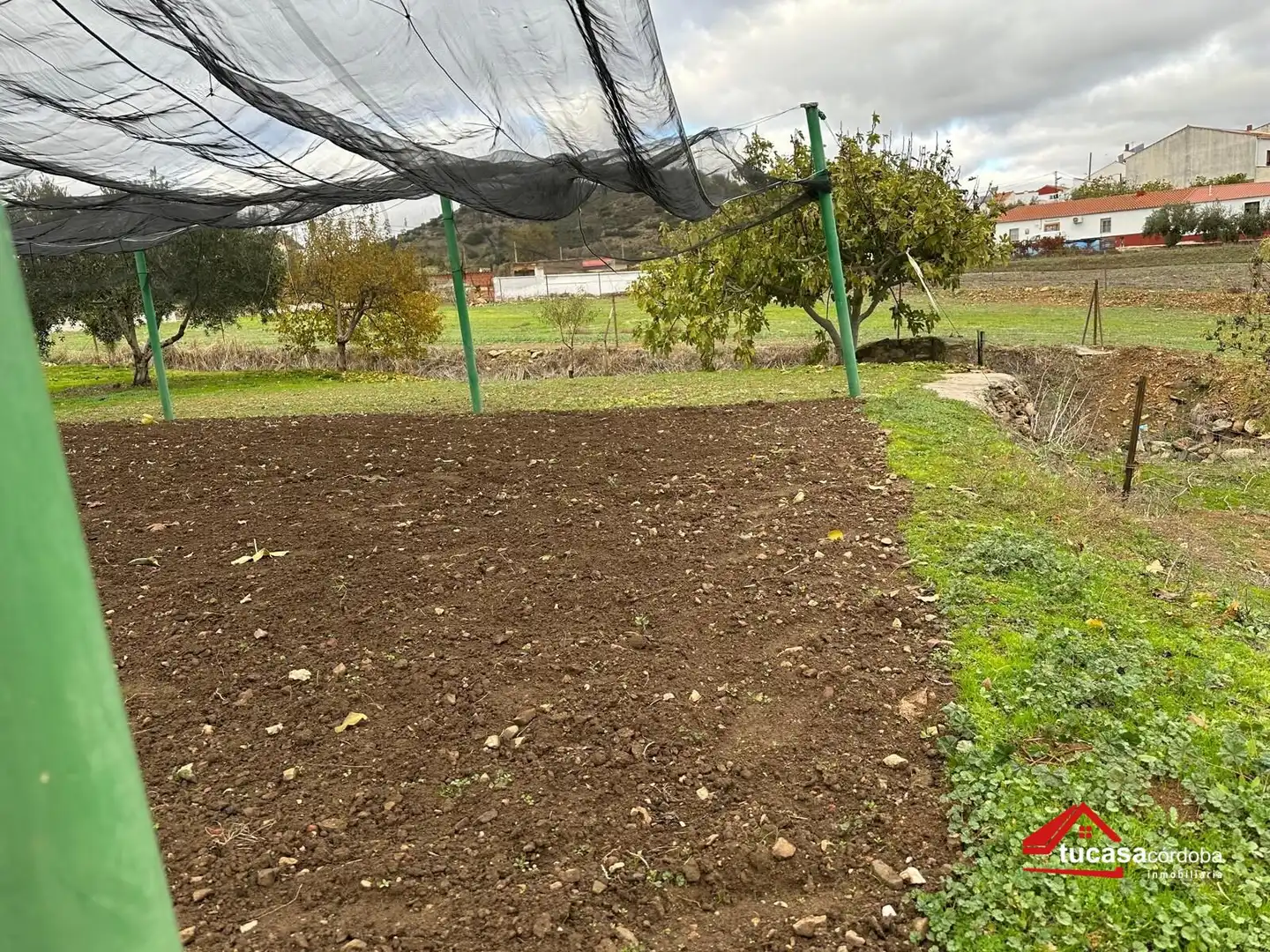Terreno rustico in vendita a Villanueva del Rey, imagen 11