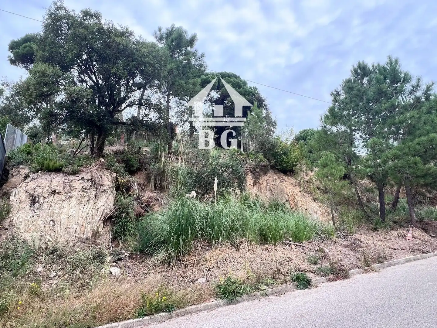 Terreno rústico en venta en Figuera, imagen 5