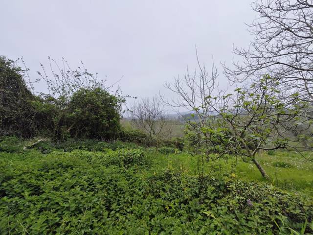 Terreno residencial en Venta en Valdáliga