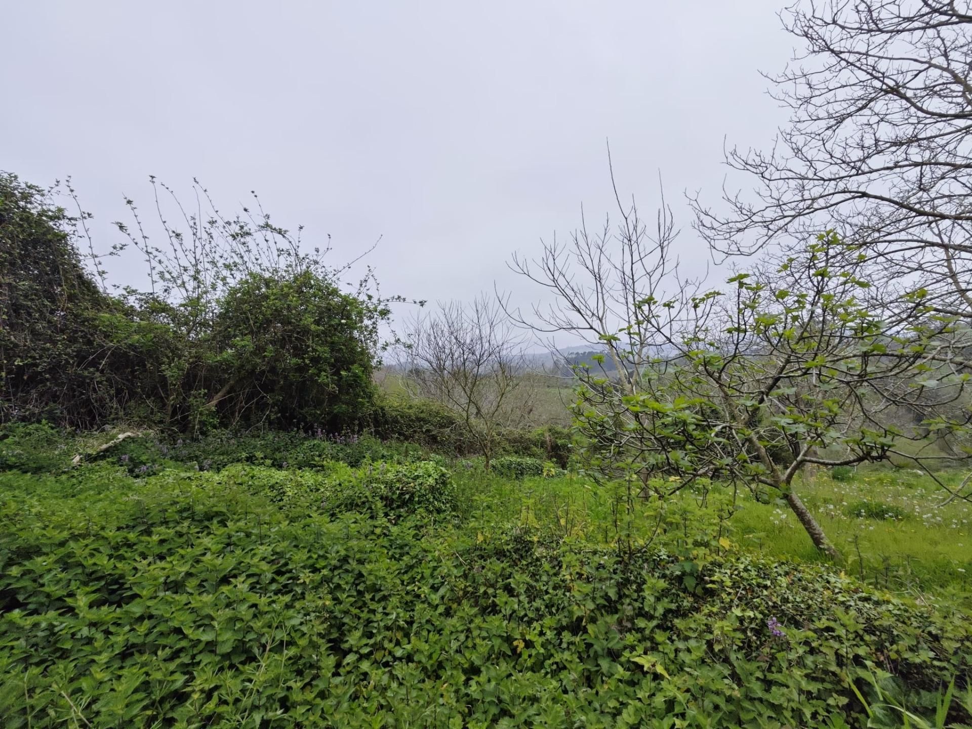 Residencial en venda en Valdáliga