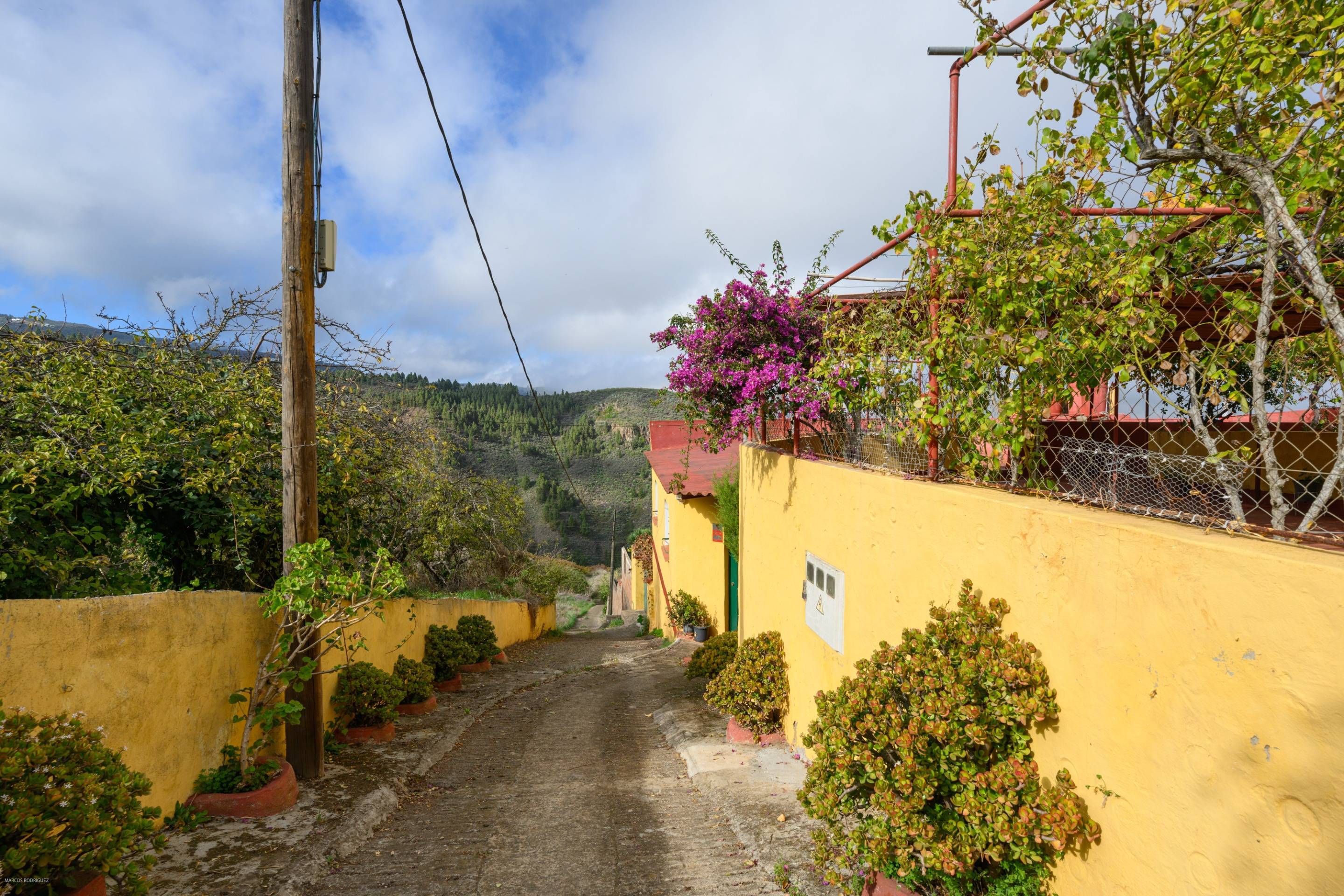 Vista exterior de Finca rústica en venda en Vega de San Mateo amb Calefacció, Jardí privat i Terrassa