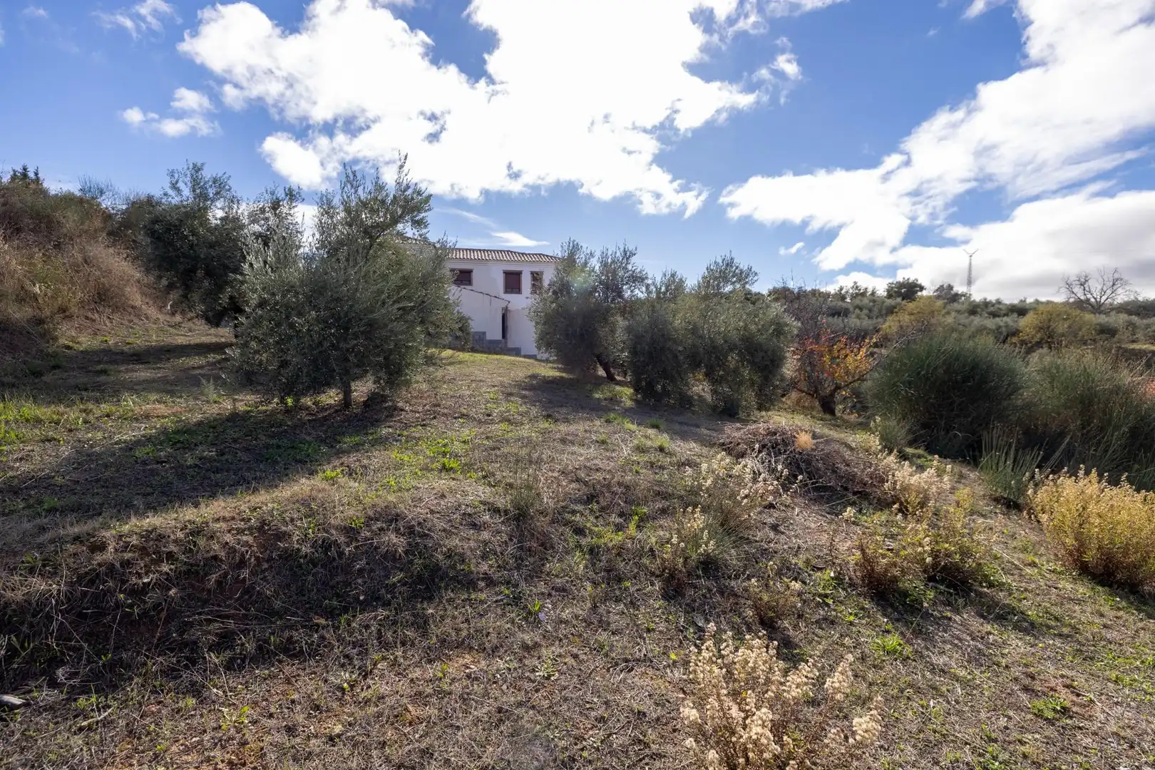 Terreni e lotti in vendita a Nívar, imagen 15
