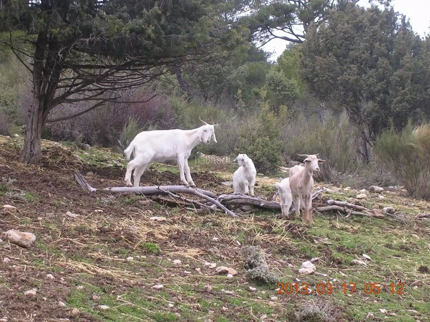 Terreni e lotti in vendita a Huéscar, imagen 6