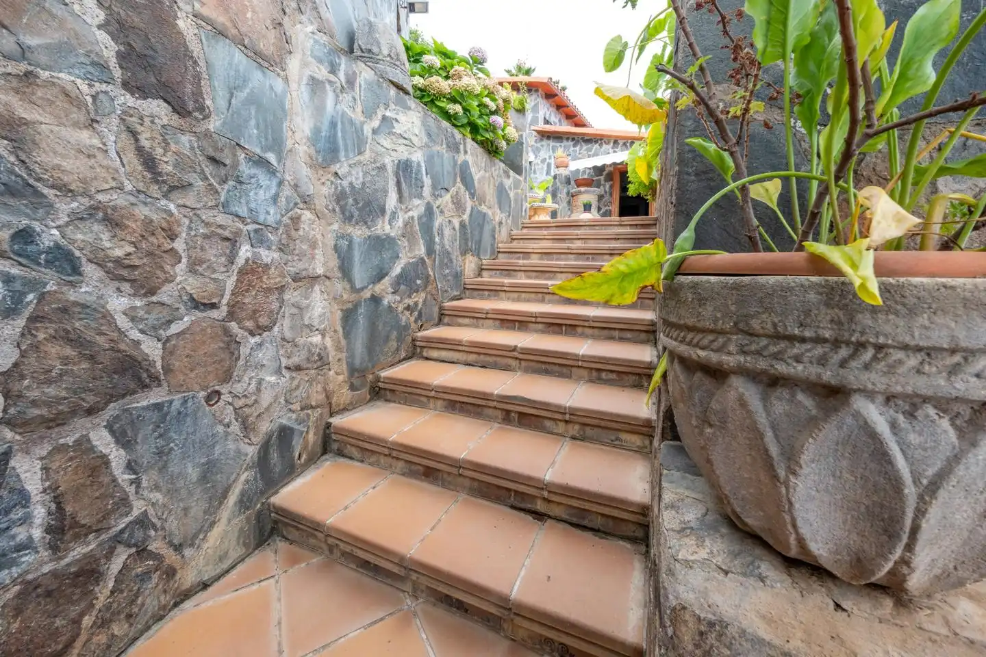 Casa o xalet en venda en Arucas