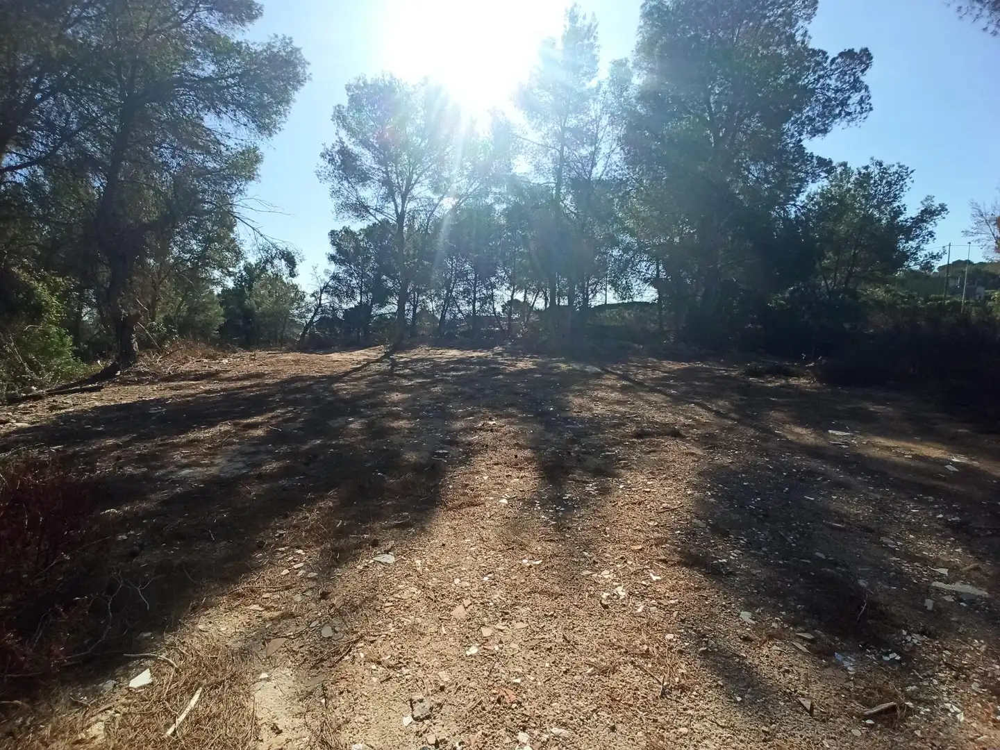 Terreno residencial en venta en Alberic, imagen 4