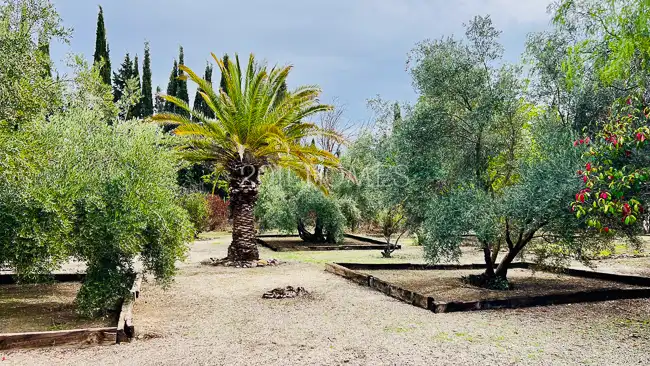 Jardín de Finca rústica en venta en Úbeda con Jardín privado, Terraza y Piscina