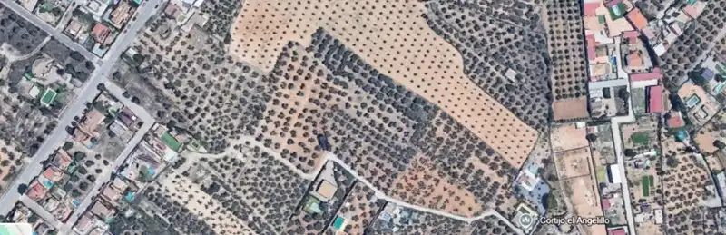 Terrenys i solars en venda a Camino de Albarrate 85, imagen 4