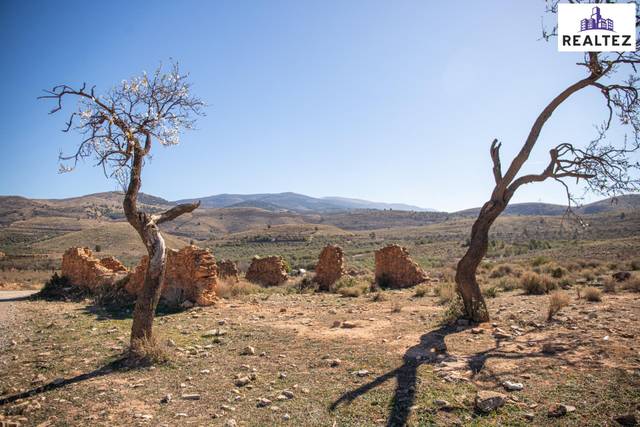 Terreno en Venta en Alcolea
