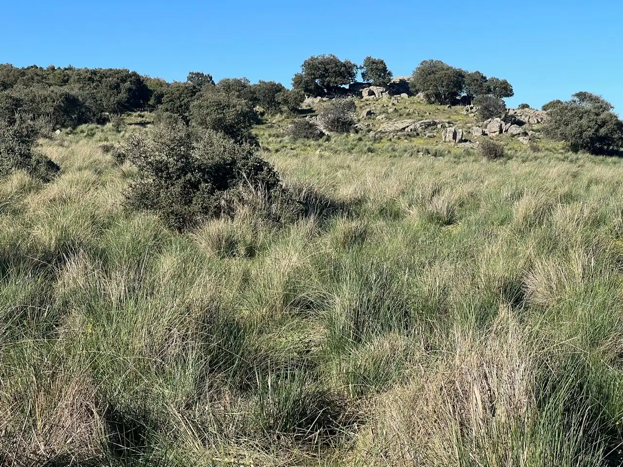 Terreni e lotti in vendita a Tornadizos de Ávila, imagen 32