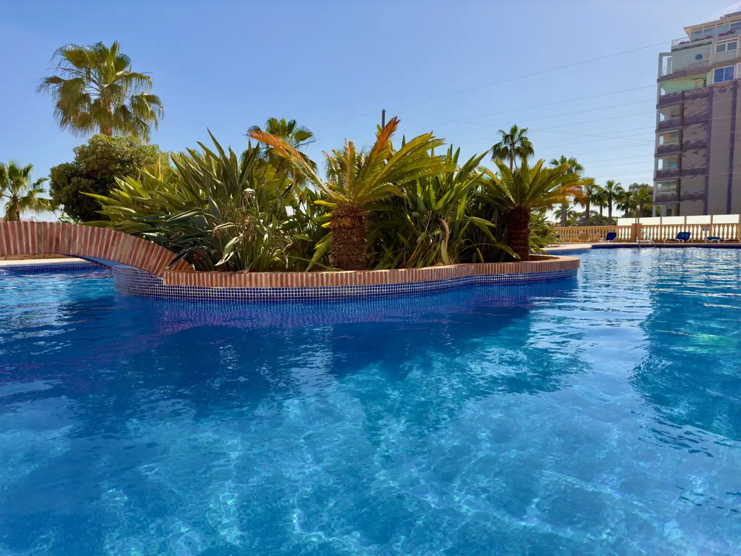 Piscina de Apartamento en venta en Calpe / Calp con Terraza, Amueblado y Horno