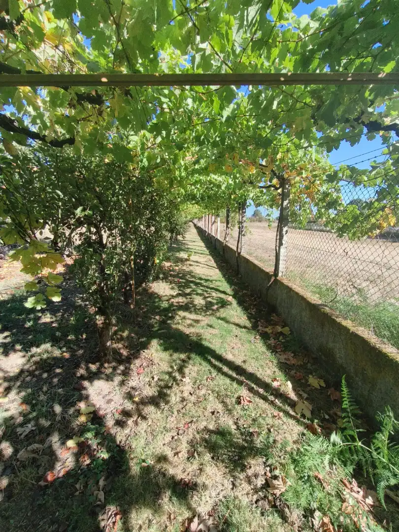 Chalet con terraza en venta en Coles, imagen 29