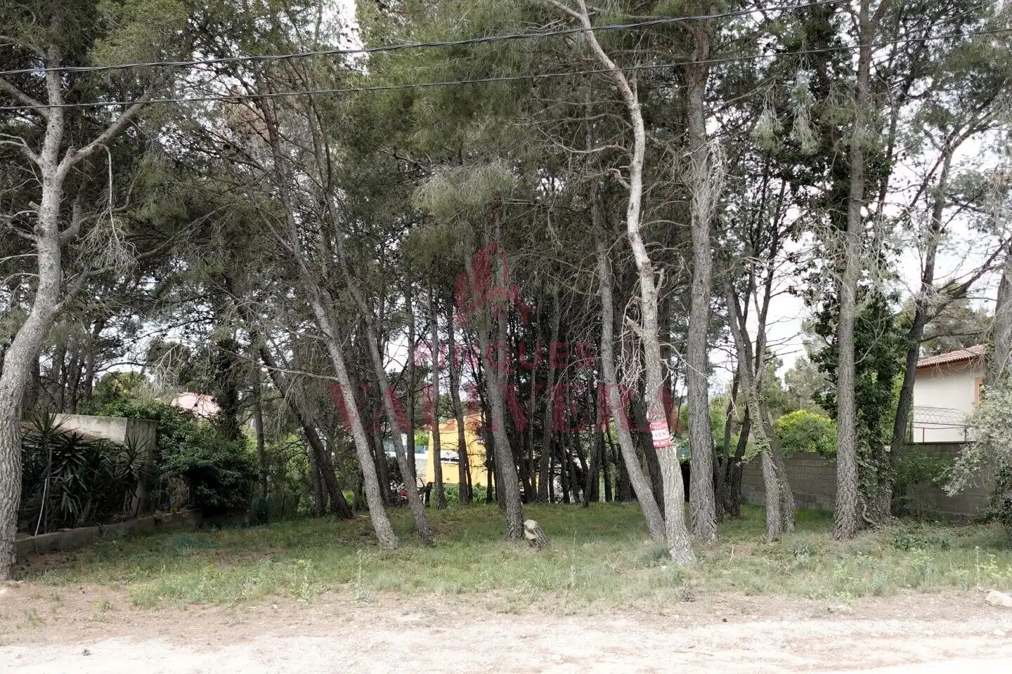 Terreny residencial en venda a Cabra del Camp, imagen 5