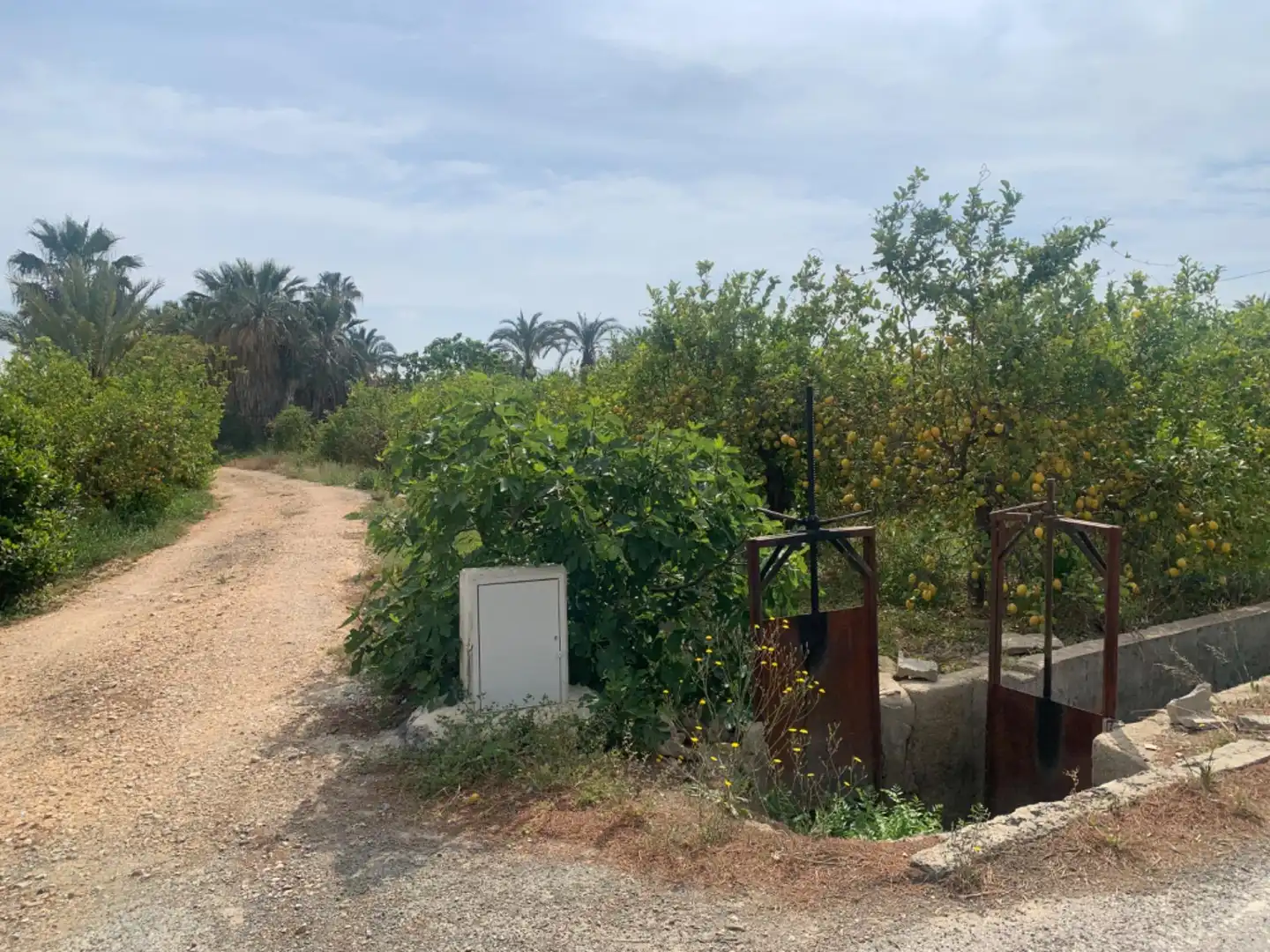 Terrenys i solars en venda a Pedanías Este, imagen 2