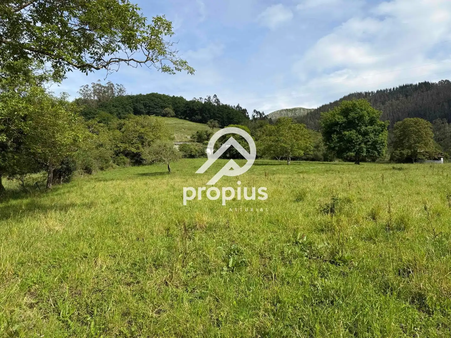 Rural land for sale in Bode, imagen 13