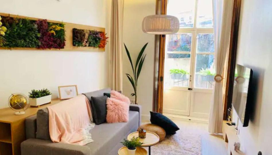 Photo 1 of Study to share in El Botànic, Valencia