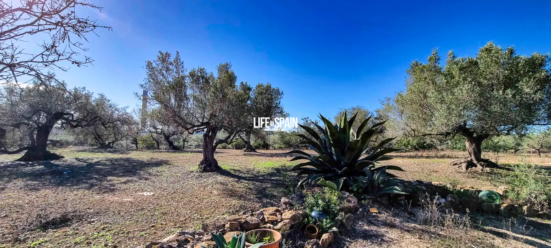 Maison rustique à vendre à L'Ampolla, imagen 28