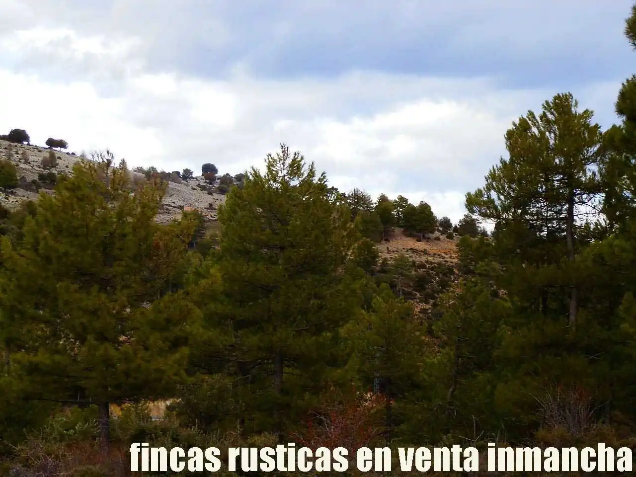 Terreno rústico en venta en Nerpio, imagen 5