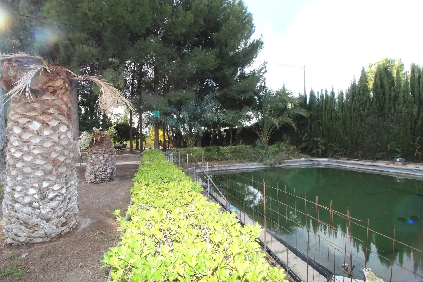 Casa amb terrassa en venda a Campo Alto - Club de Campo, imagen 14