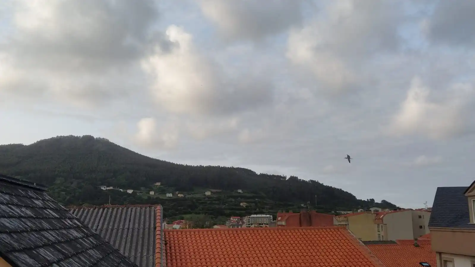 Haus mit Terrasse zum Verkauf in Rúa de Menéndez Pidal 21, imagen 56