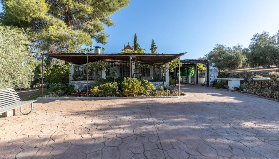 Photo 1 of Country house for sale in Street  la Charca, Cogollos de la Vega, Granada